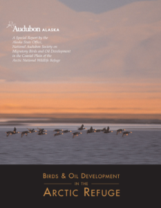 Cover of the book "Birds & Oil Development in the Arctic Refuge"